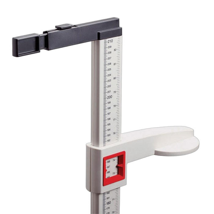 Height & Weight Scale