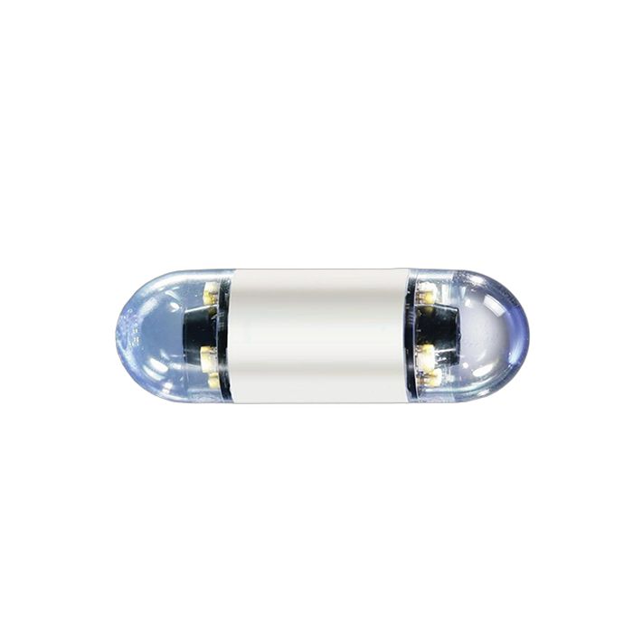 Capsule Endoscopes