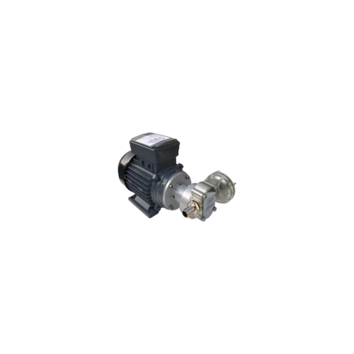 Gear Pump