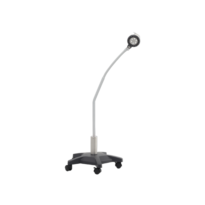Examination Light