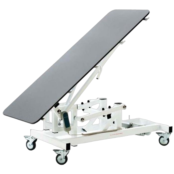 Veterinary Examination Table