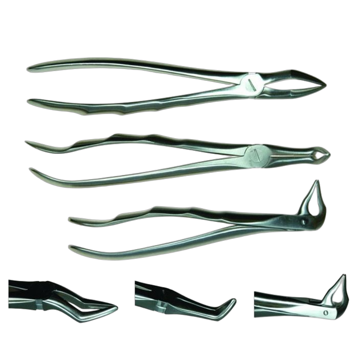 Veterinary Dental Extraction