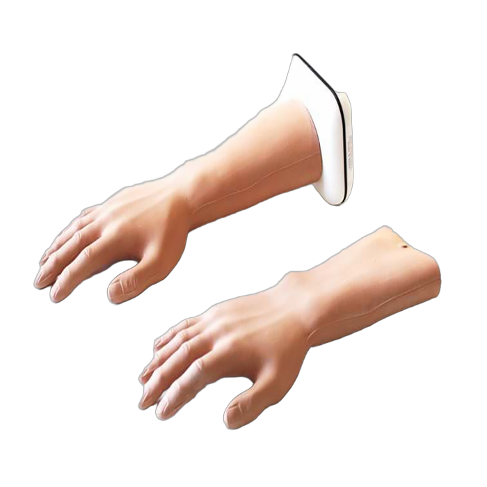 Medical Training Model