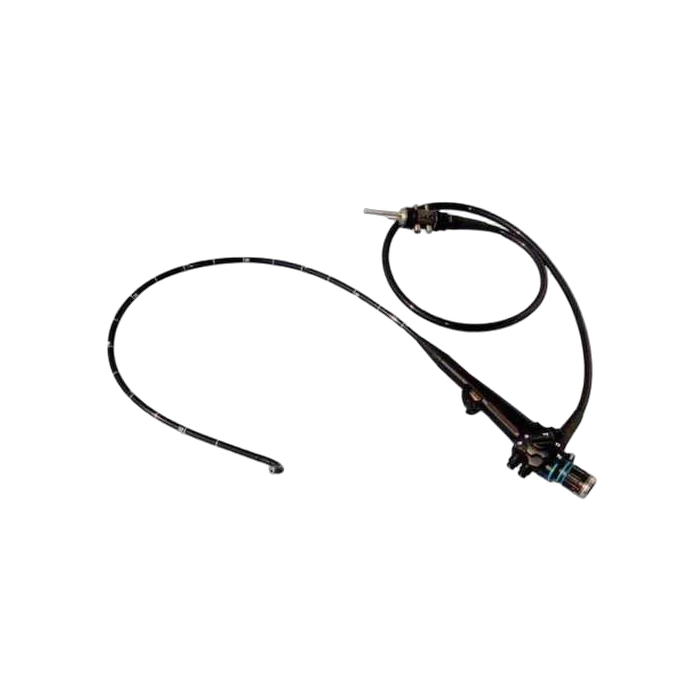 Endoscope