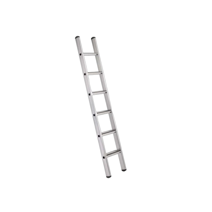 Single Ladder