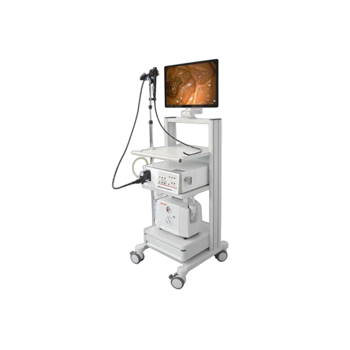 Endoscopic Camera System