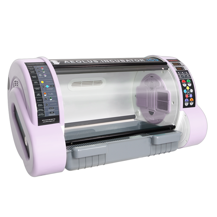 Pet Incubator