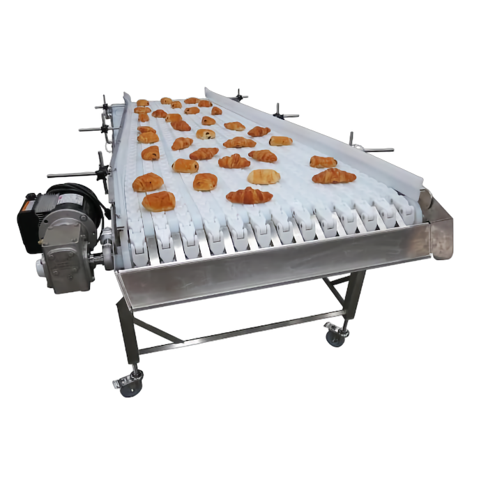 Food Conveyor System
