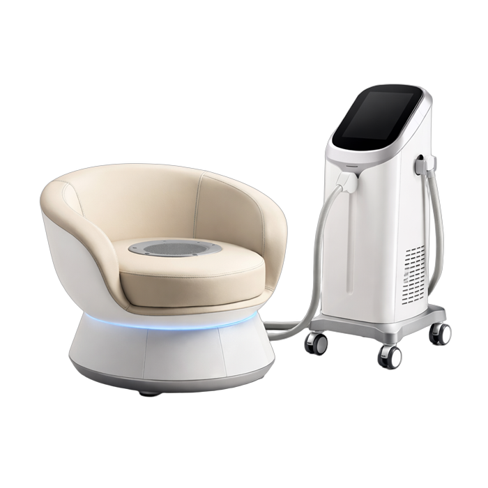 Incontinence Chair