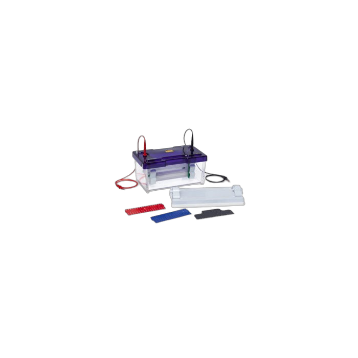 Electrophoresis System