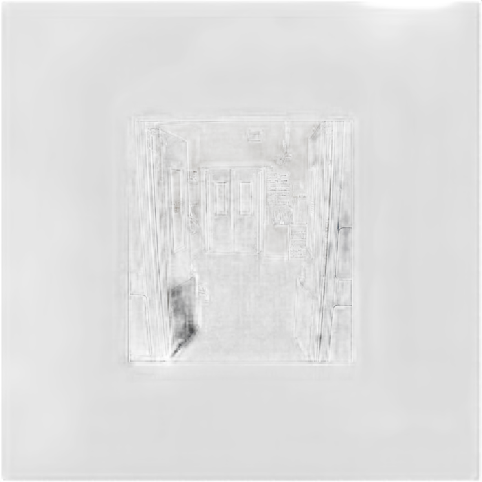 Hospital Door