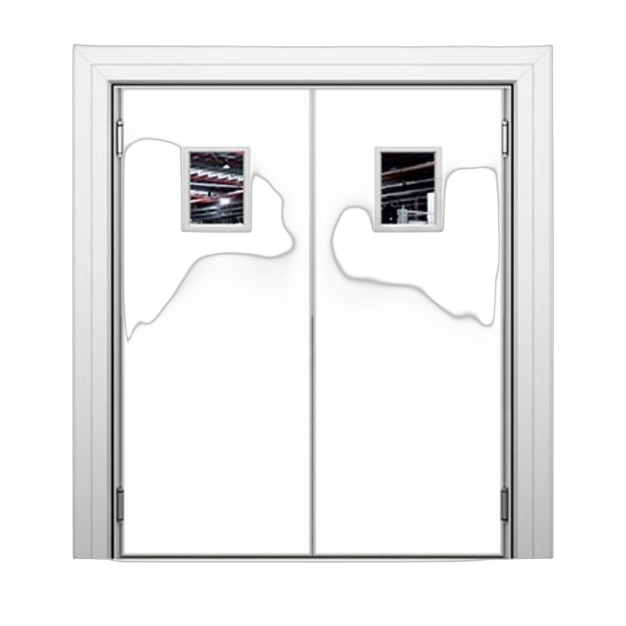Swing Door