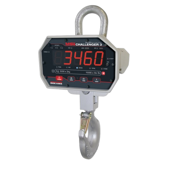 Crane Scale