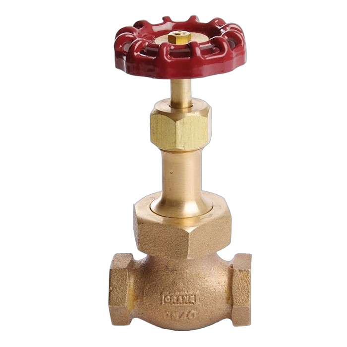 Globe Valve