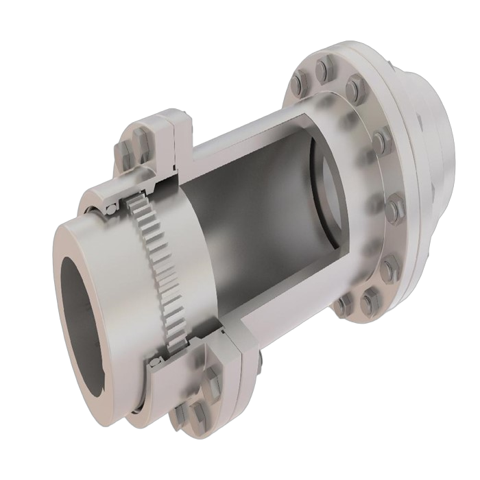 Gear Coupling