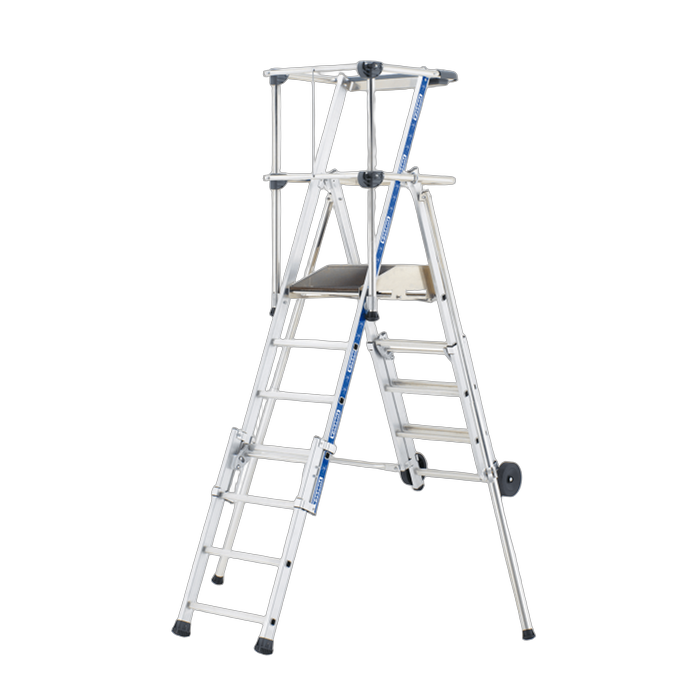 Order Picker Ladder