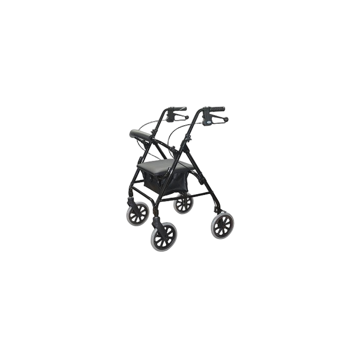 Rollator Walker