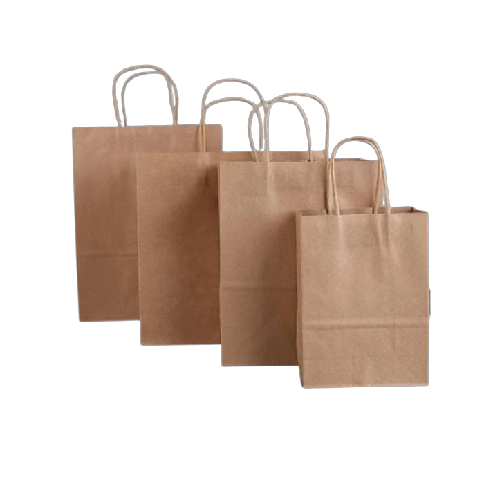 Paper Carry Bags