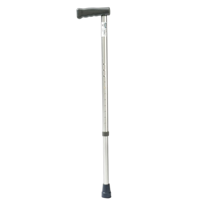 Walking Stick