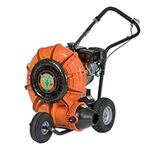 Walk Behind Leaf Blower