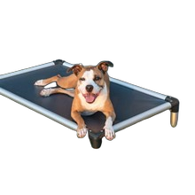 Pet Care & Supply