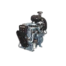 Marine Electric Motor