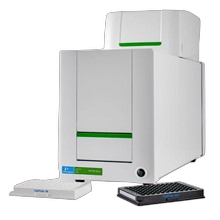 Microplate Reader