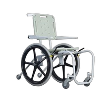 Aquatic Wheelchair