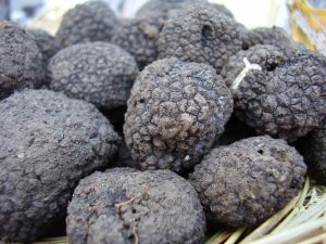 Now in its sixth year, the festival celebrates the state's burgeoning truffle industry.