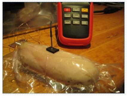 Sous vide chicken core temperature with probe thermometer.