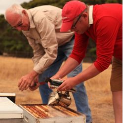 The new show takes New Zealand viewers on a culinary journey across Australia.