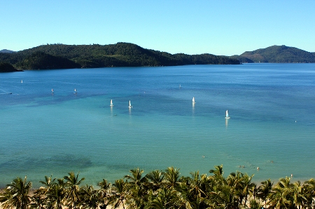    Occupancy numbers across Hamilton Island are set to climb thanks to increased domestic demand and repeat visitors.