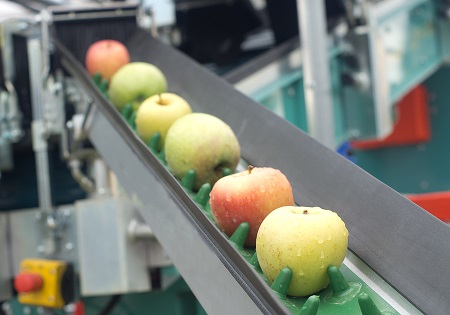 Using imaging technology to develop quality control systems for unprocessed and processed food items is a rapidly growing and expanding research area.