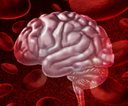 New research confirms that DNA modifications measured in blood signal changes in the brain.