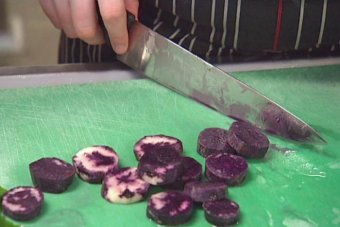 Purple Congo potatoes. Source: ABC News