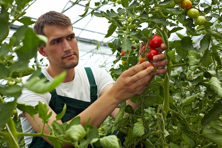 The panel discussed the 'critical' relationship between growers and suppliers and importance of the code of conduct.