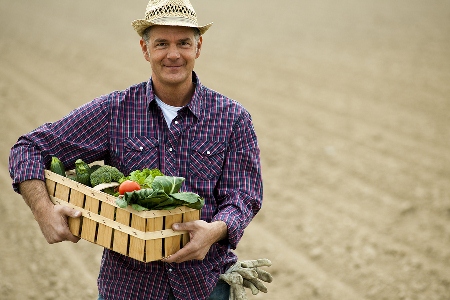 Australian vegetable growers "should explore export opportunities".