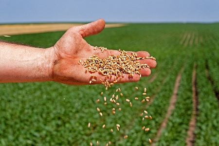 The project "developed simple techniques to use water efficiently that have been proved to work on farms".