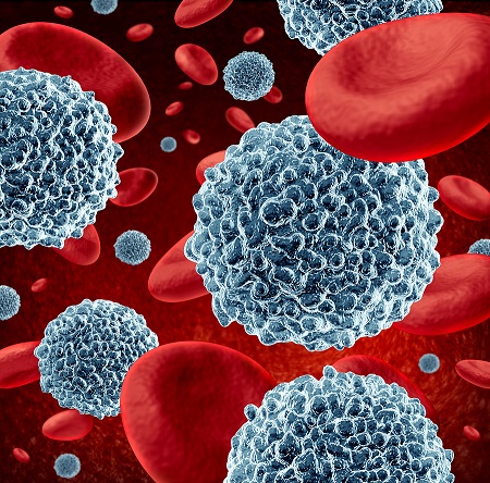 Specific stem cells, which produce white blood cells (pictured), are damaged during chemotherapy.
