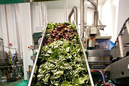 The fresh salad produced by the facility will be sold under eastern seaboard supermarkets' own private label brands.