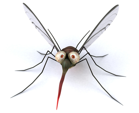 By learning about mosquito-borne viruses we may be better able to predict outbreaks of mosquito-borne disease