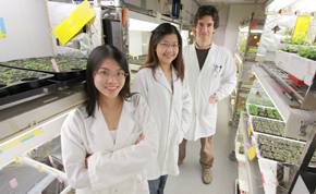 Gonzalo Estavillo (rear) with fellow researchers in the plant growth room. Photo by Tim Wetherell.
