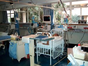 "The appropriate feeding protocol for mechanically ventilated patients is an important practical question that has been debated in intensive care units for decades." 
