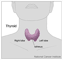 "It is important that an elderly patient undergoing thyroid surgery have an experienced team of primary care physicians, surgeons, anesthesiologists and nurses who handle these types of surgeries on a routine, daily basis."