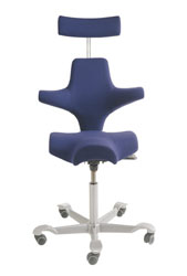 Ergonomic Chairs - HAG Capisco - The Saddle Chair