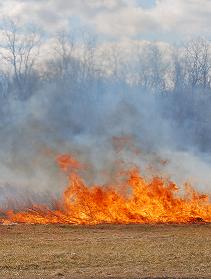 Urgent fire management issues must be raised.