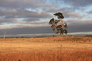 Where is the investment in Australia's farms, and the country's future?