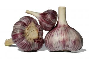 Researchers found that aged garlic extract is more effective than the raw or cooked varieties in controlling hypertension.