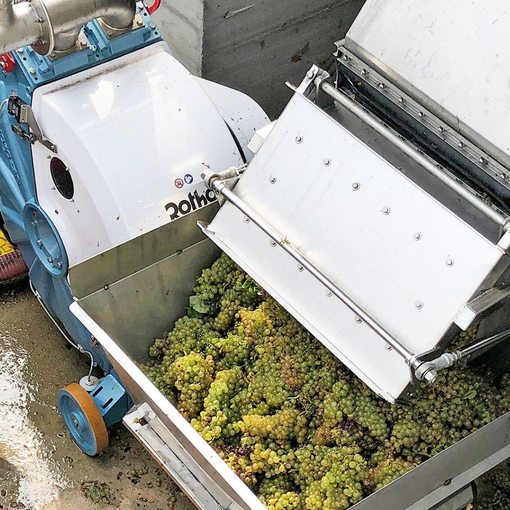 How to select the best winery pump for next vintage