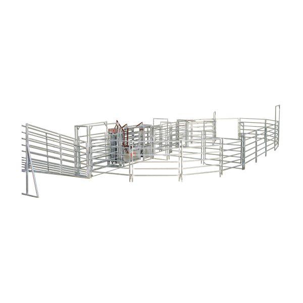 Cattle Management | Portable Cattle Panels
